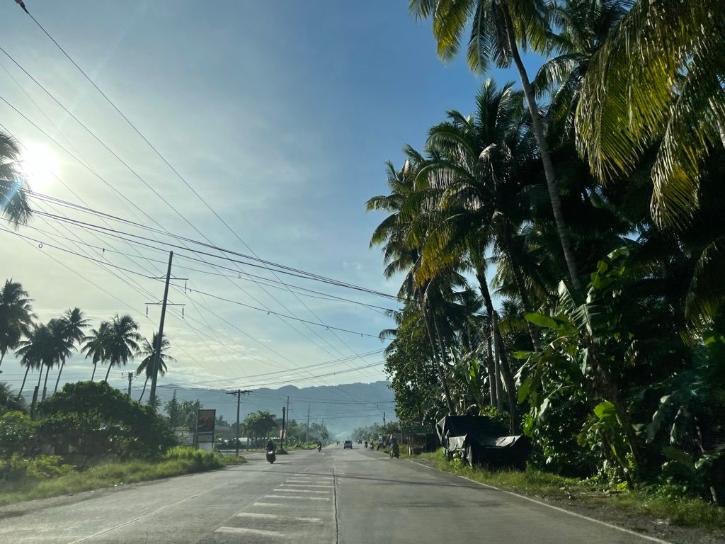 Road Surrounded By Nature